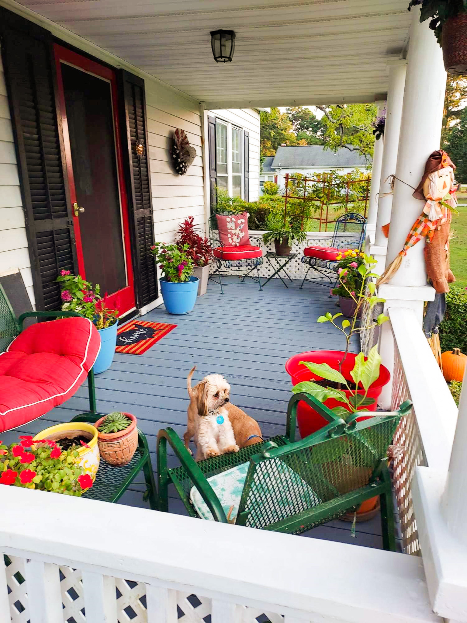 Front porch with red and green cushioned seating, potted plants, and seasonal decorations, with a small dog sitting on the floor at the home of Sponsored Residential Provider Angela Justice in Mathews, Virginia.