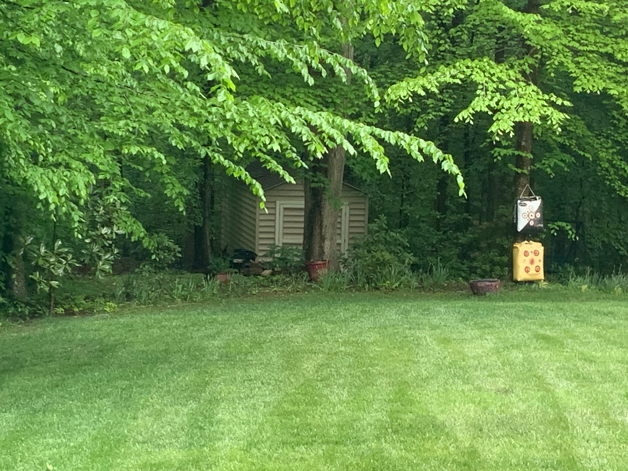 Chris and Indya Benjamin 10