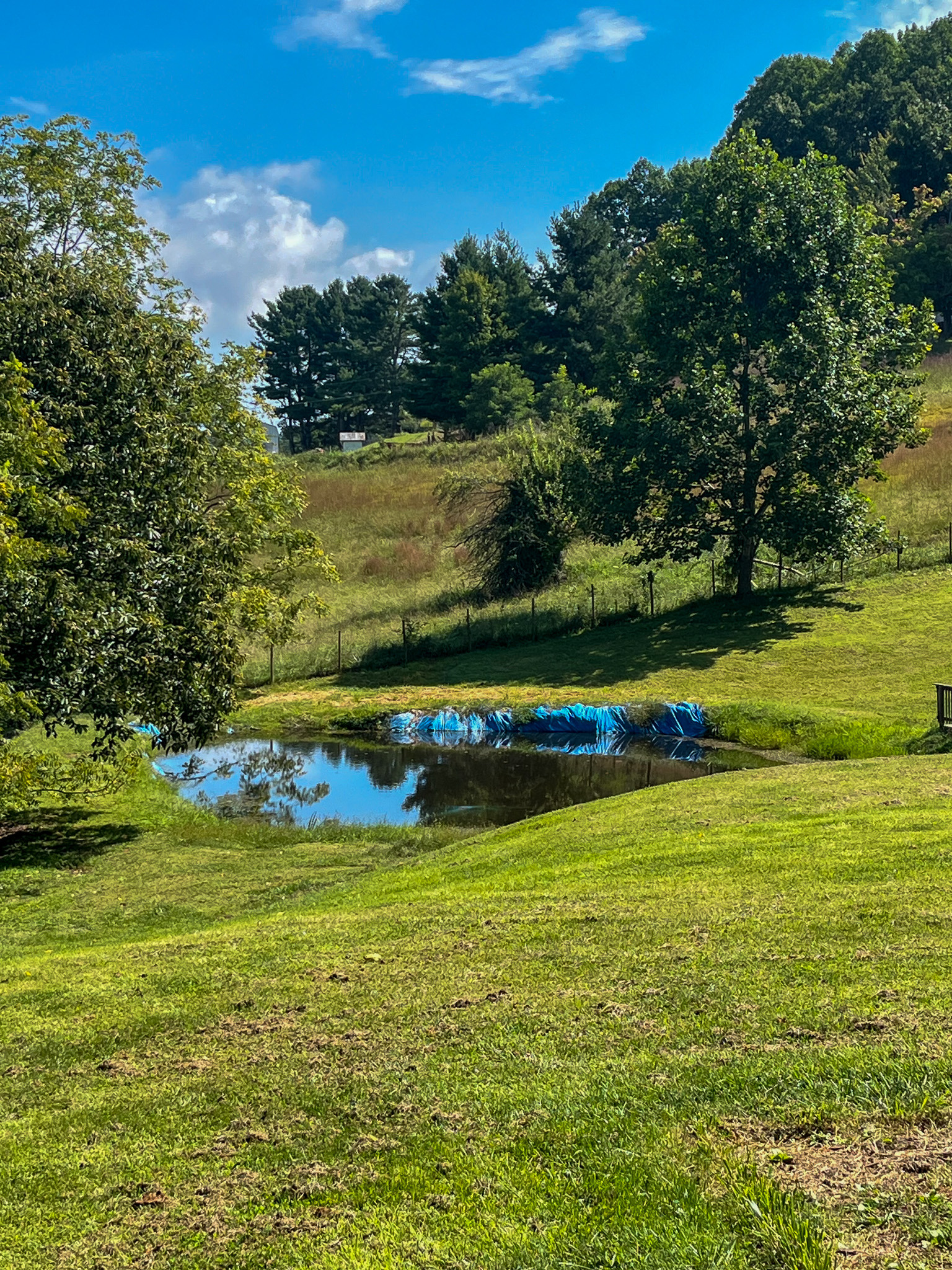 Scenic outdoor view of a small pond surrounded by rolling grassy fields, trees, and a rural landscape. This is the home of Sponsored Residential Provider Delmy Sexton in Woodlawn, VA.