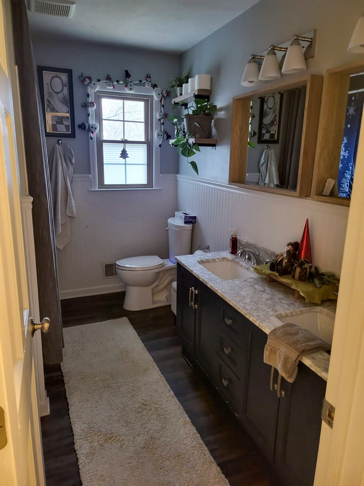 A long bathroom features a dark vanity with a light countertop, a window above the toilet, and plants and decor arranged along the walls and shelves inside the home of Sponsored Residential Providers Scott and Tedra Flanders in Lynchburg, Virginia.