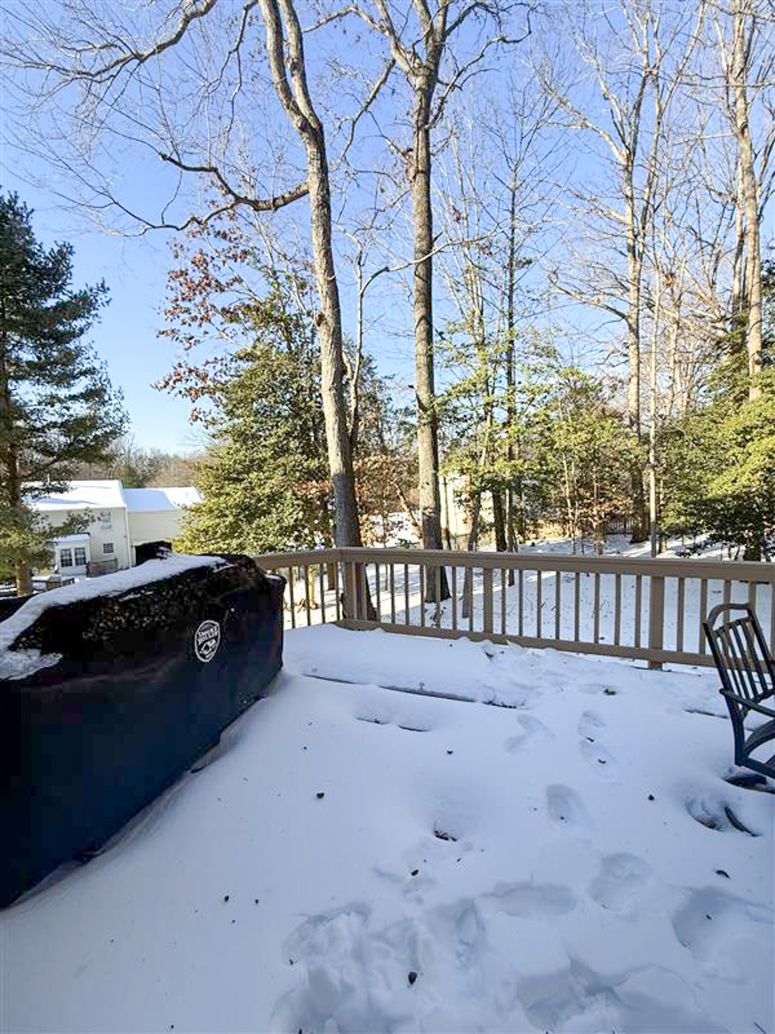 Snow-covered deck with railing, hot tub, outdoor chair, and wooded backyard in winter inside the home of Sponsored Residential Provider Gamu Gomo in Woodbridge, Virginia.
