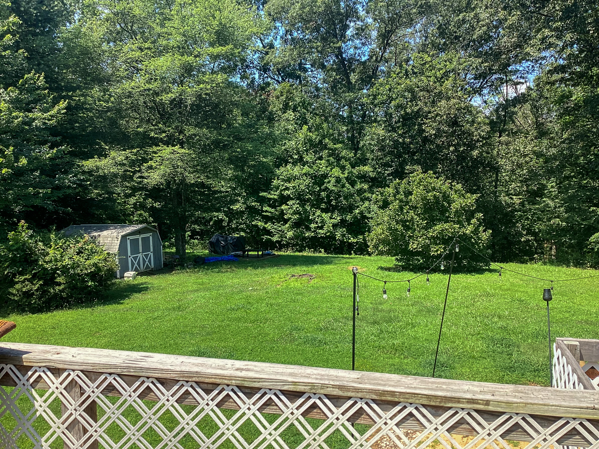 Backyard with a green lawn, trees lining the back, and a small shed on the left, viewed from a deck with lattice railing  at the home of Sponsored Residential Provider Kristen Hensley in Madison County, Virginia.