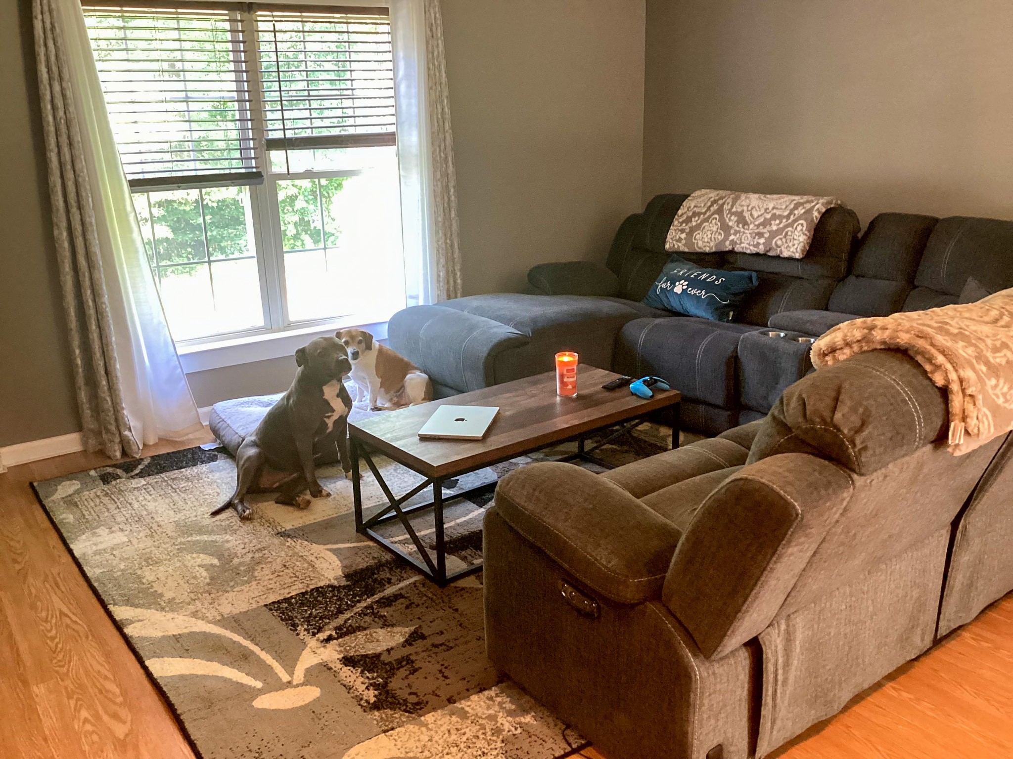Living room with gray sectional and recliner, coffee table, large window with curtains, and a dog sitting on the rug inside the home of Sponsored Residential Provider Kristen Hensley in Madison County, Virginia.