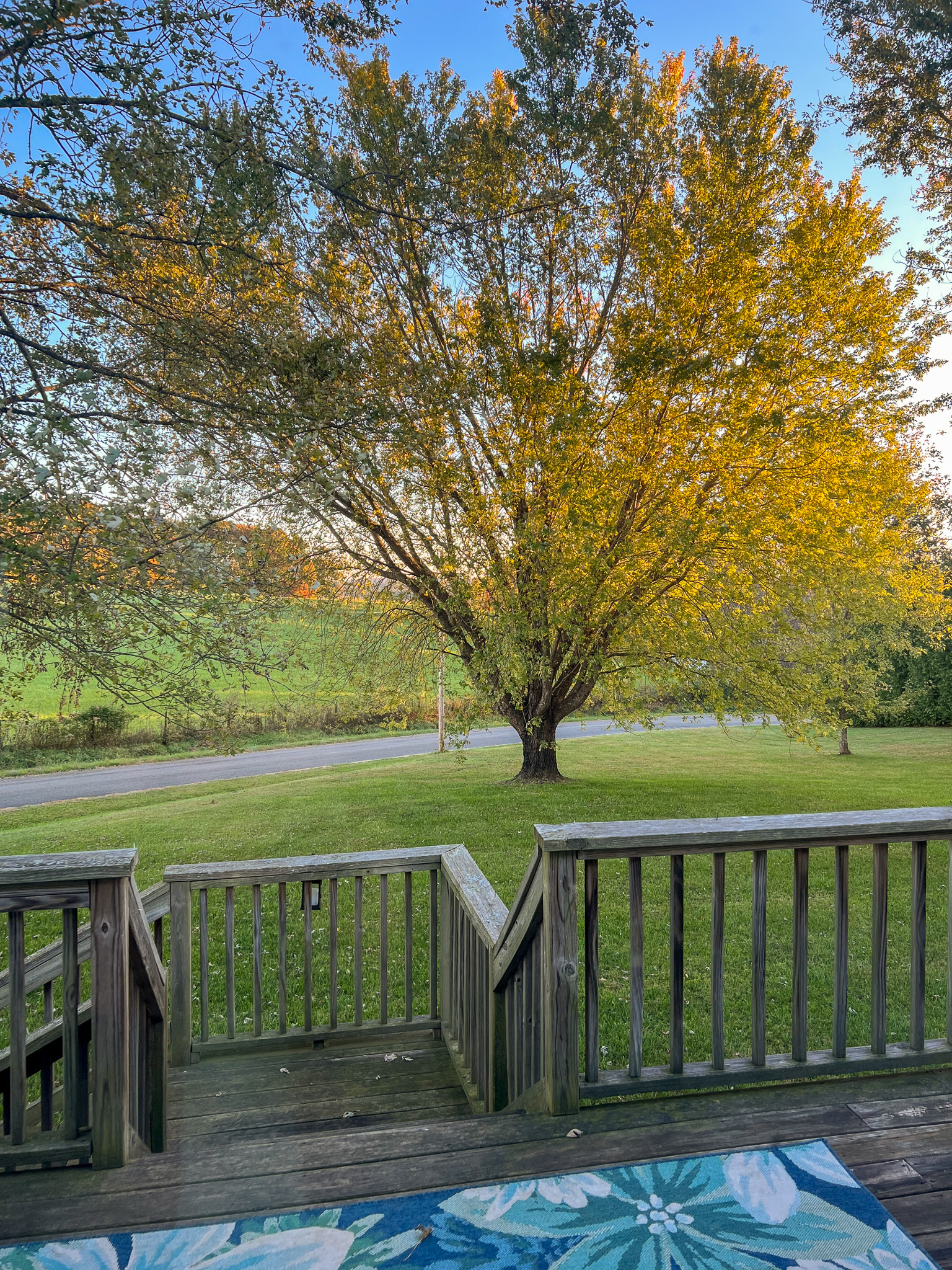 A wooden deck overlooking a grassy yard with a large tree displaying golden leaves at the home of Sponsored Residential Provider Christina Bedsaul in Hillsville, Virginia.