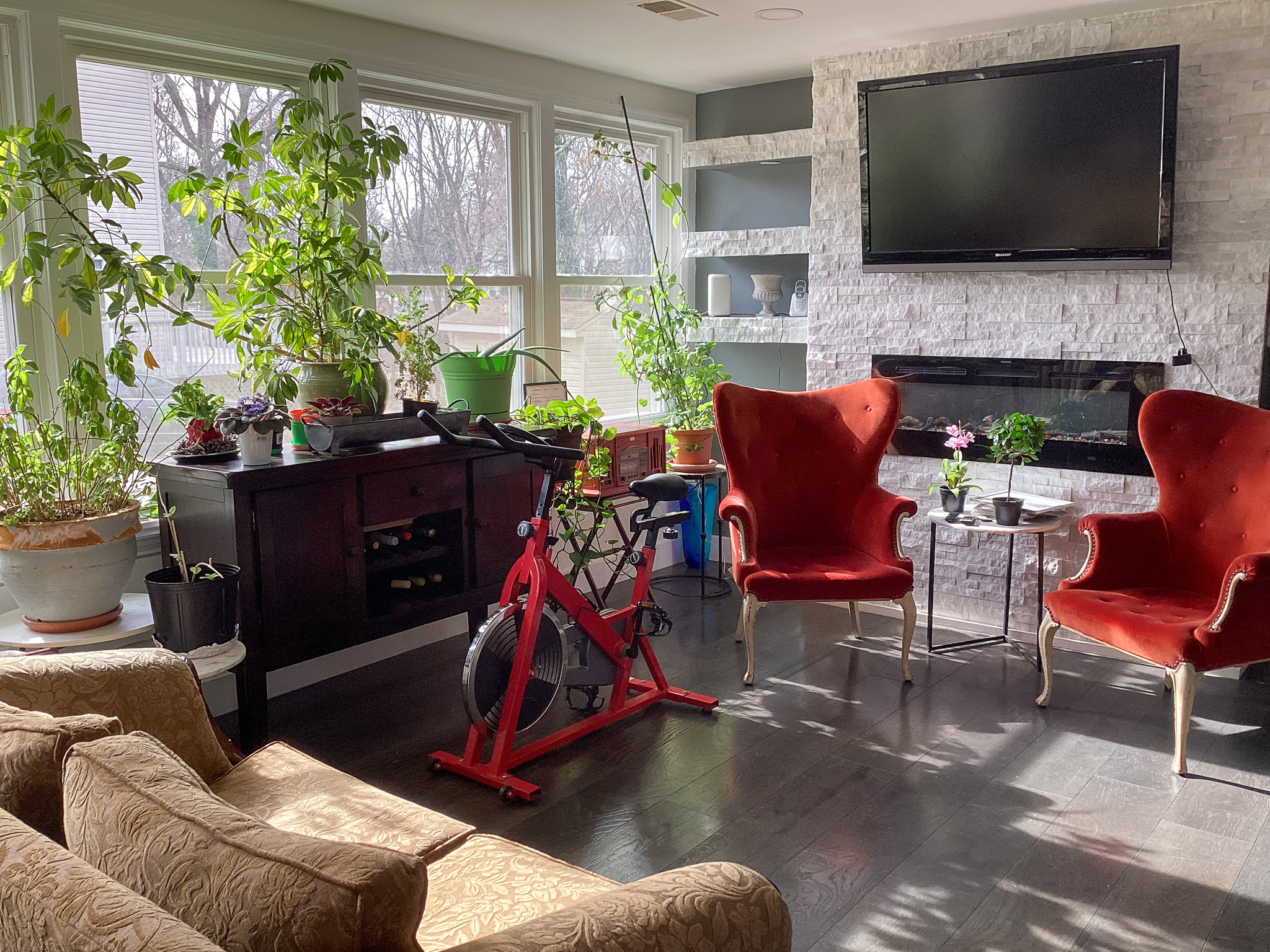Sunlit living room with large windows, indoor plants, a red stationary bike, two red accent chairs, and a wall-mounted TV above a fireplace inside the home of Sponsored Residential Provider Eglee Escorihuela.