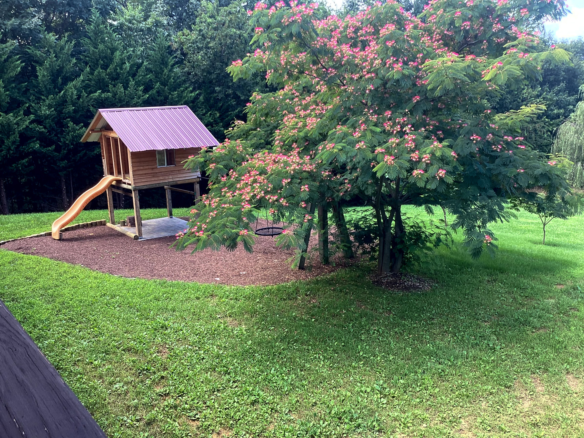 Backyard play area with a wooden treehouse, slide, and flowering trees on the property of Wall Group Home provider Lisa Lohr in Harrisonburg, VA.