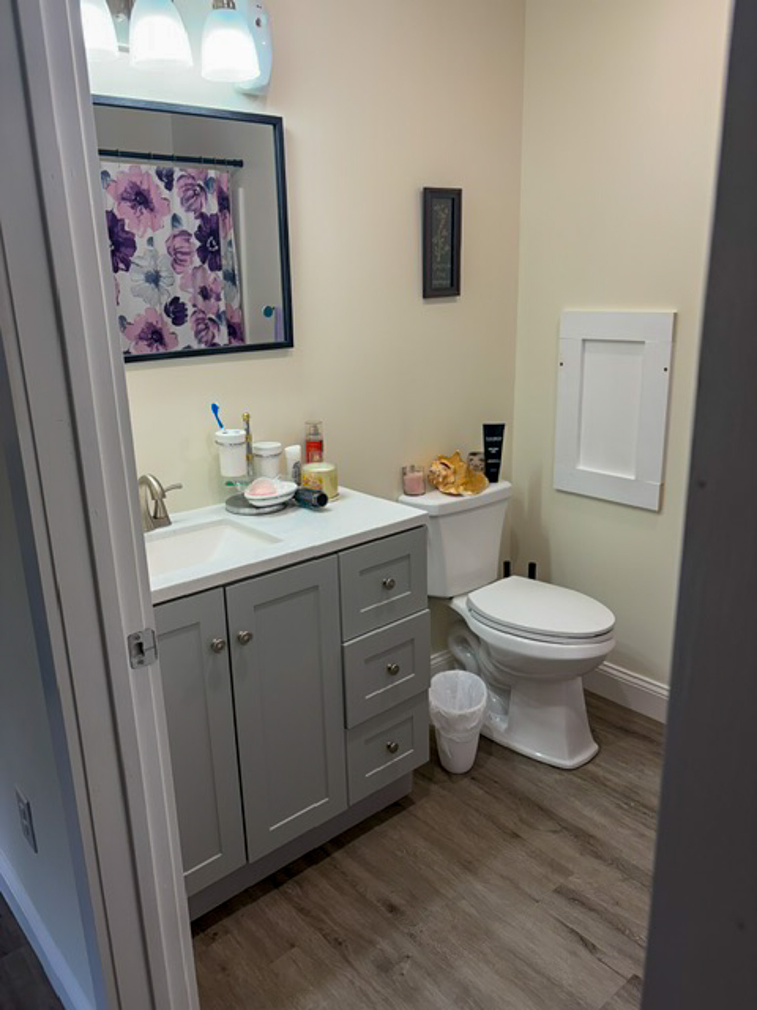 Small bathroom featuring a gray vanity with a white countertop, a wall mirror with floral artwork reflected in it, a toilet, and wood-look flooring. Decorative items sit on the vanity and toilet tank beneath bright vanity lighting inside the home of Group Home Provider Luke Haynes in Christiansburg, VA.