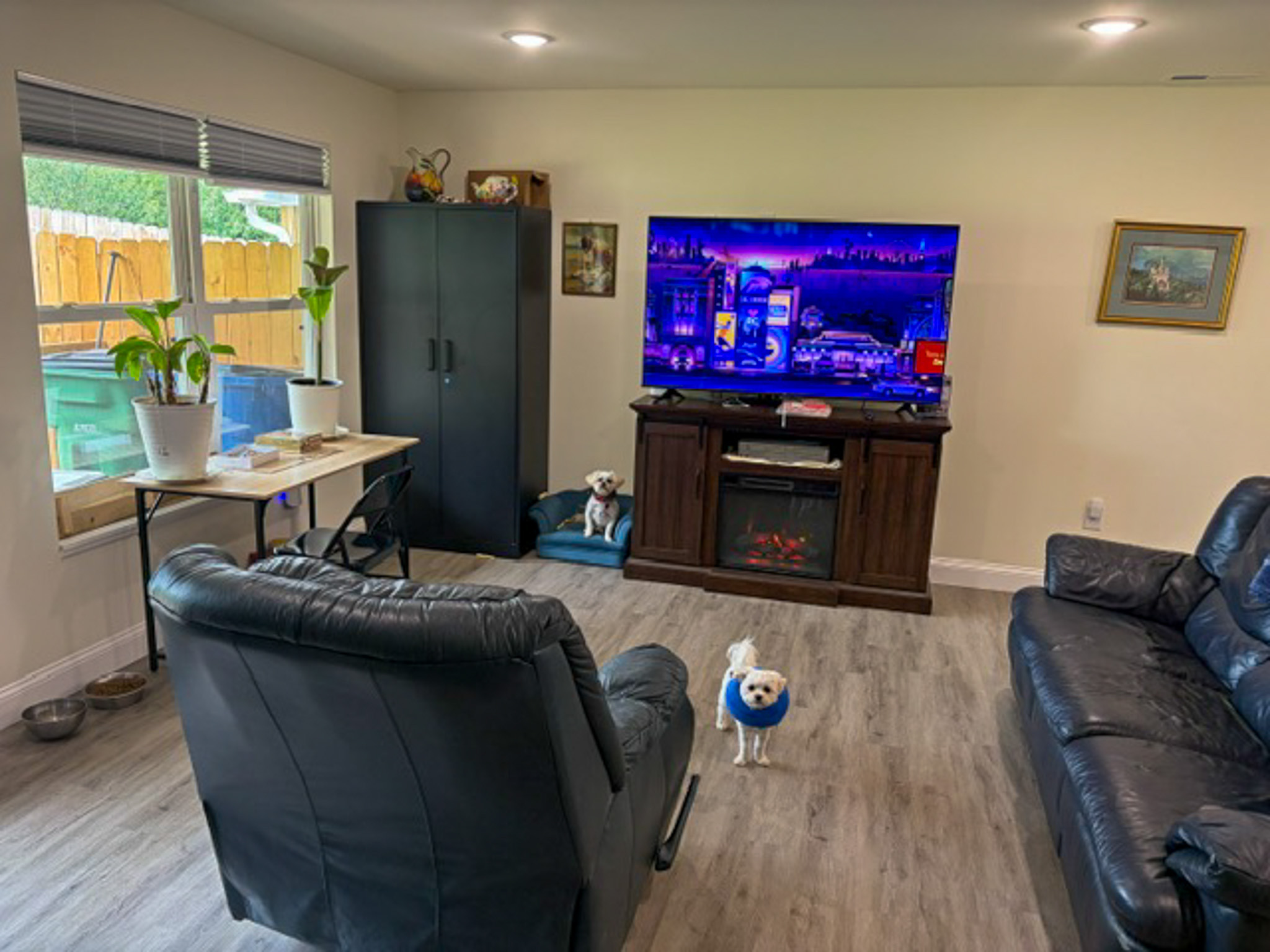 Living room with leather seating, a television and electric fireplace console, and a small desk with potted plants positioned by a window. Two small dogs are visible in the room, and the space includes gray flooring, neutral walls, and a large storage cabinet inside the home of Group Home Provider Luke Haynes in Christiansburg, VA.