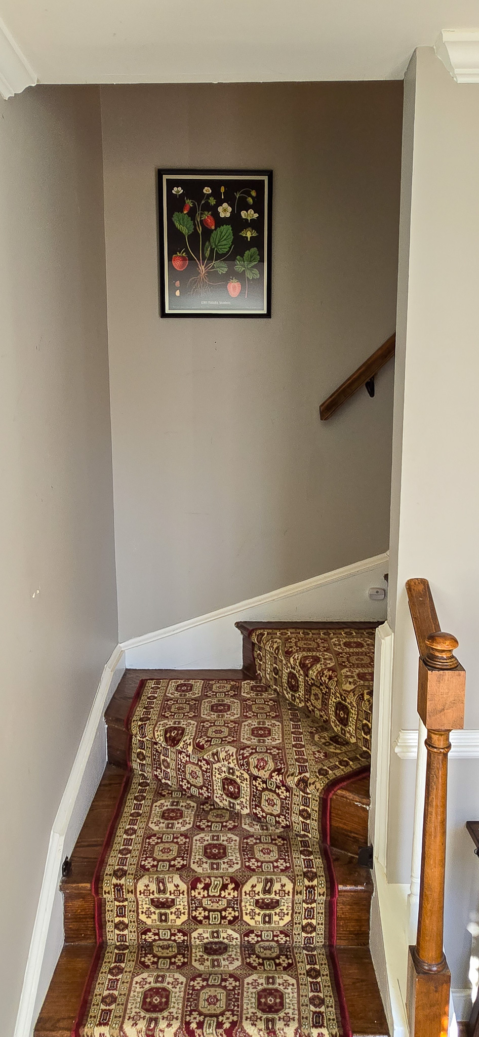 Carpeted staircase with patterned runner, turning at a landing beneath a framed artwork on the wall inside the home of Group Home Provider Jared Nepal in Fredericksburg, Virginia.
