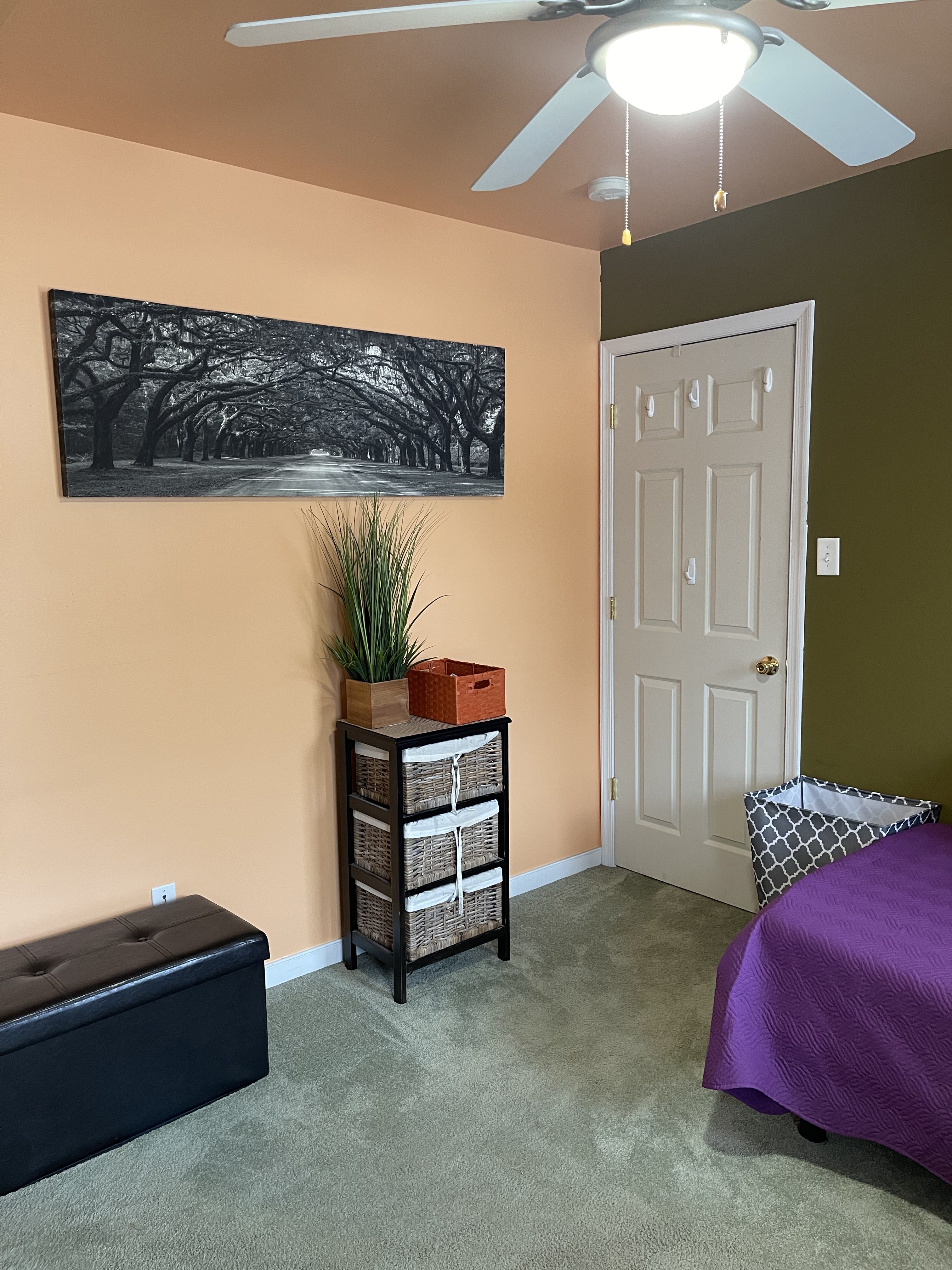 A bedroom corner with peach and olive‑green walls, a white door, a ceiling fan, a black storage unit with baskets and plants, a black-and-white wall art print, and part of a bed with a purple comforter inside the home of Sponsored Residential Provider Penny Miller in North Chesterfield, Virginia.