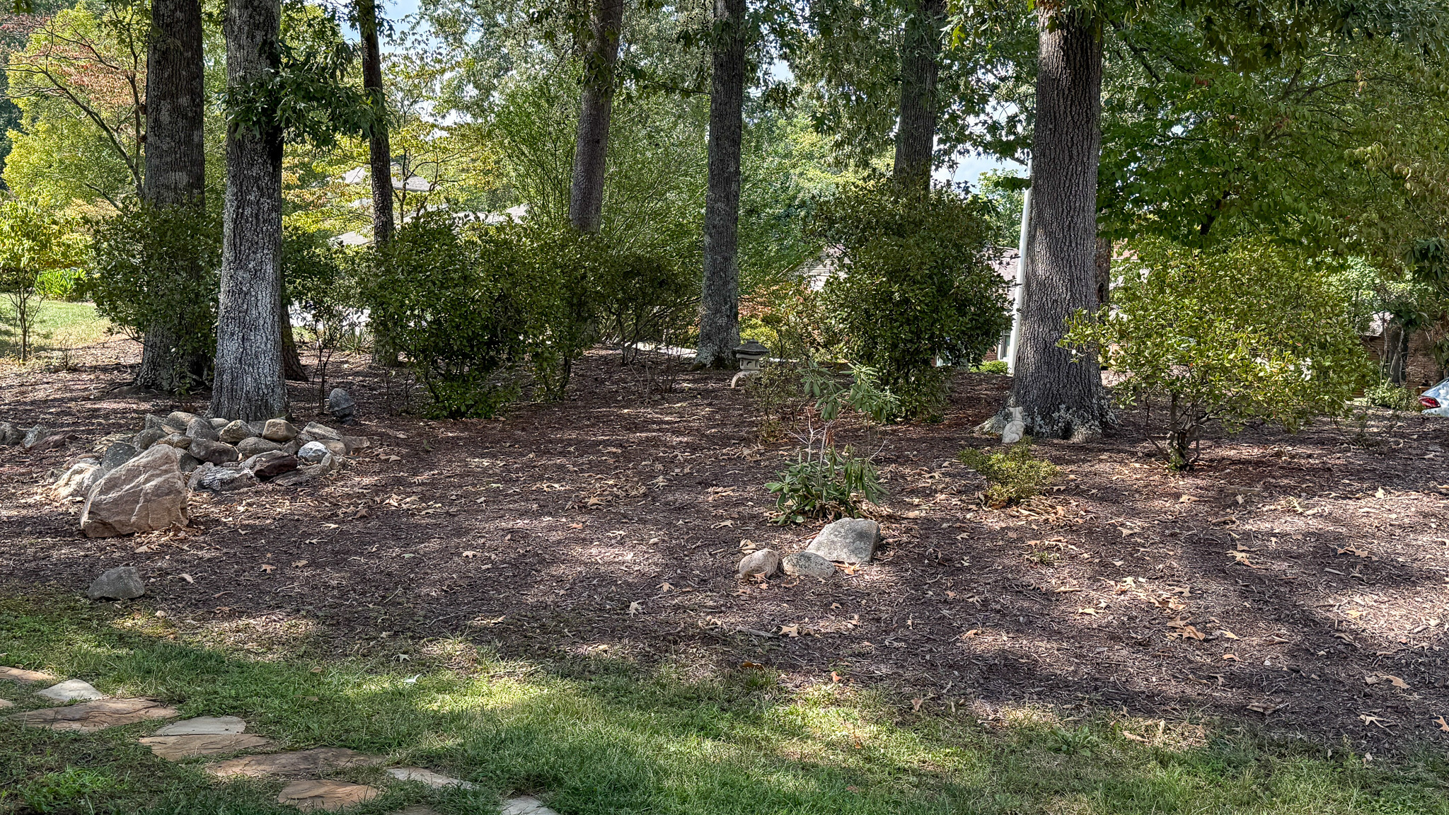 Wooded backyard with mature trees, landscaped beds, and open outdoor space at the home of Sponsored Residential Providers Anna Robertson and Christopher Pietrzyk in Roanoke, VA.