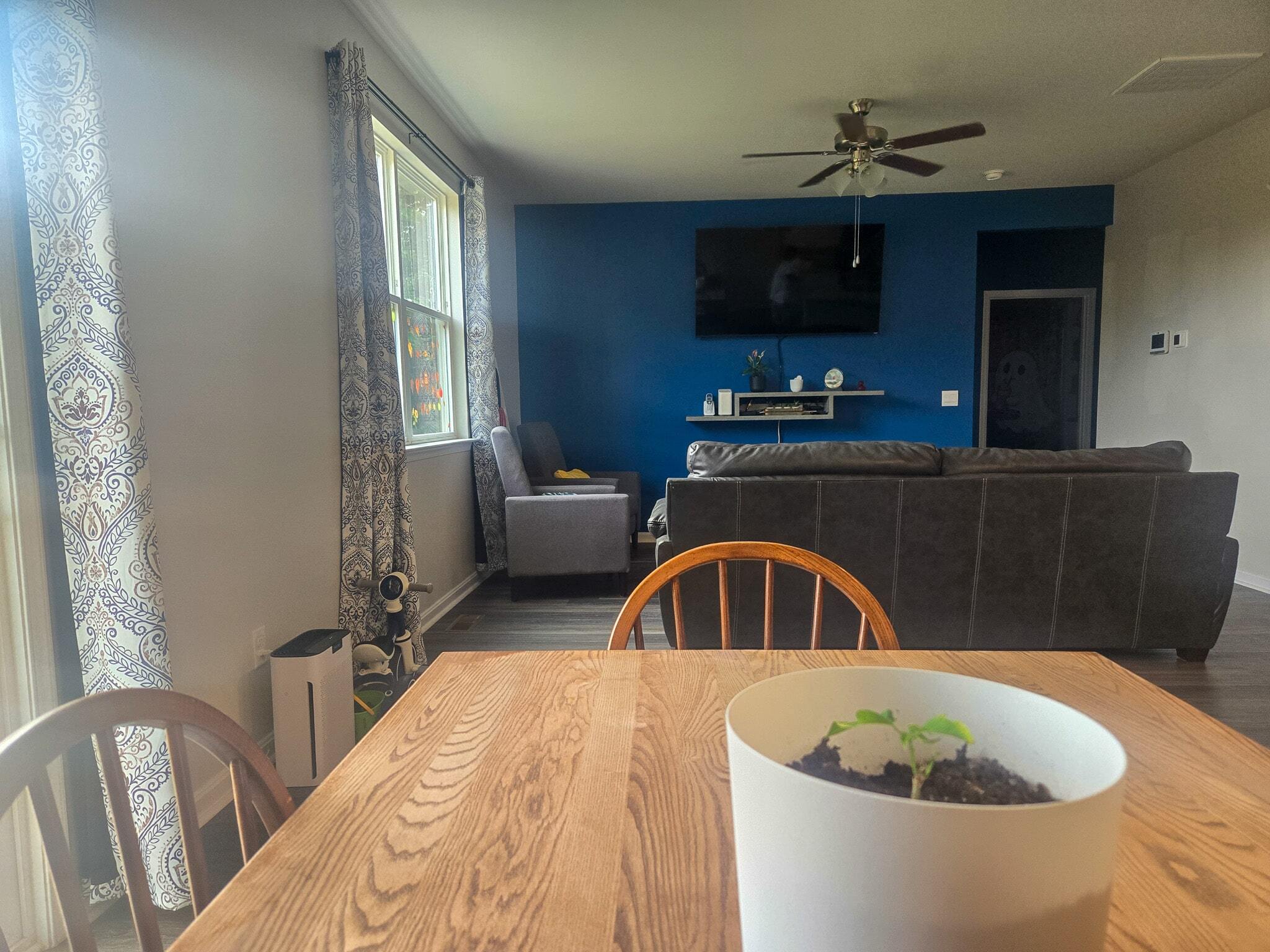 Dining area overlooking a living room with a wooden table in the foreground, a potted plant on top, large windows with patterned curtains, and a blue accent wall with a mounted TV above a fireplace inside the home of Sponsored Residential Providers Shannon Rebeka Knott in Staunton, Virginia.