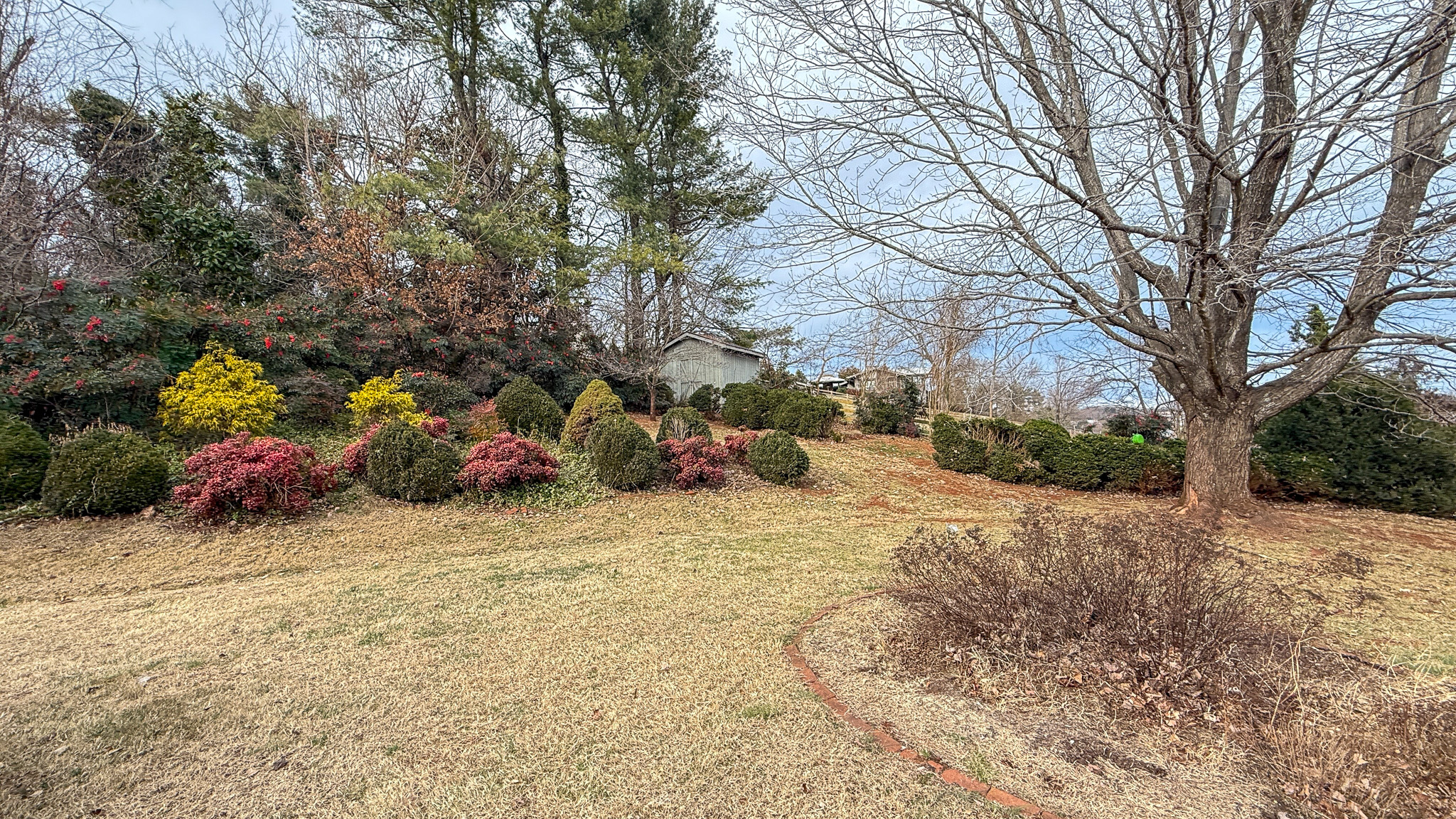 A sloping yard with mature trees, neatly trimmed shrubs, and clusters of colorful bushes along the left side at  the home of Sponsored Residential Providers Angela and James Snyder in Rocky Mount, Virginia.